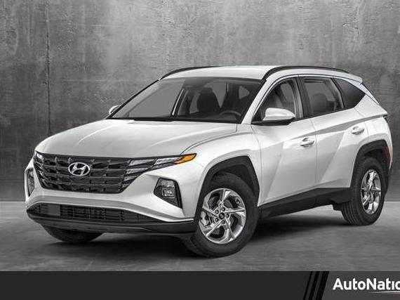 HYUNDAI TUCSON 2024 KM8JB3DE7RU309794 image