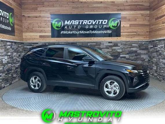HYUNDAI TUCSON 2024 5NMJBCDE5RH382268 image