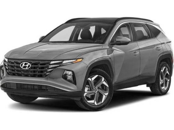 HYUNDAI TUCSON 2024 KM8JCCD17RU190199 image
