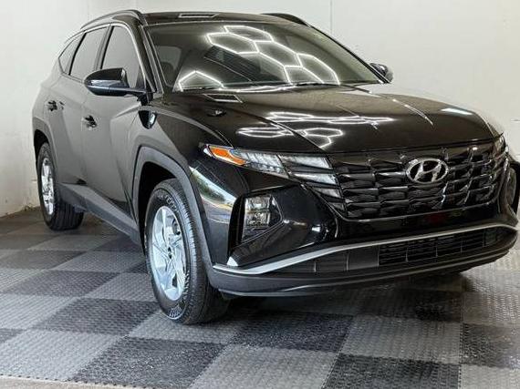 HYUNDAI TUCSON 2024 5NMJBCDE5RH366233 image