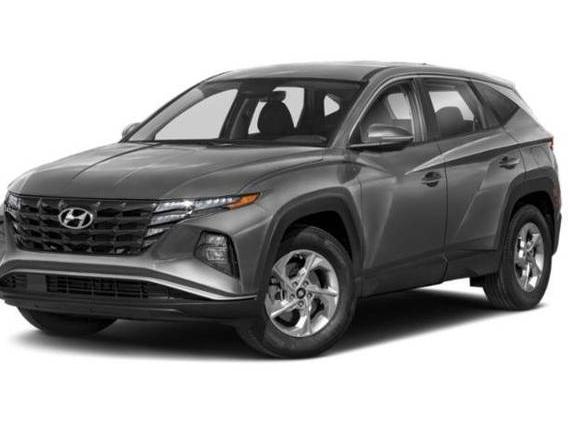 HYUNDAI TUCSON 2024 KM8JFCDE9RU285485 image