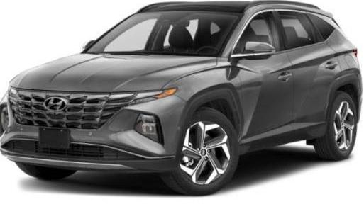 HYUNDAI TUCSON 2024 5NMJECDEXRH308187 image