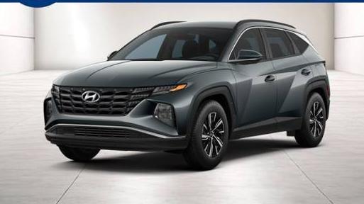 HYUNDAI TUCSON 2024 KM8JBCD17RU219641 image