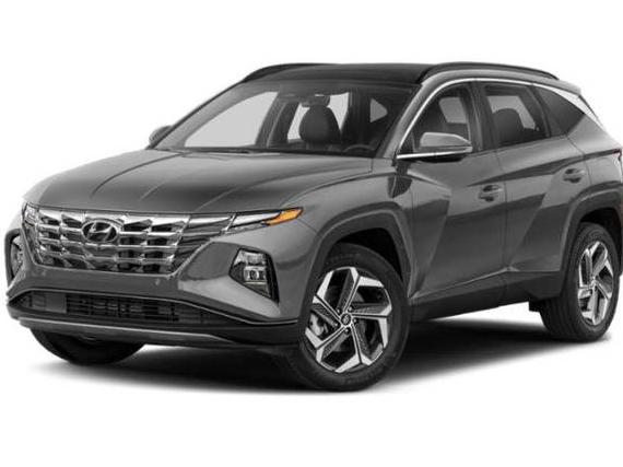 HYUNDAI TUCSON 2024 KM8JECD13RU232359 image