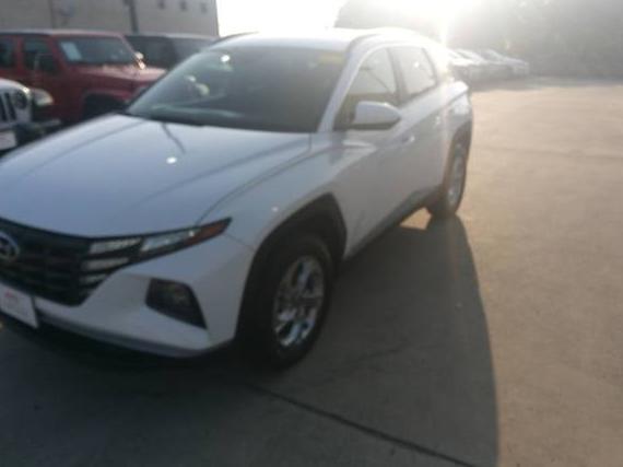 HYUNDAI TUCSON 2024 5NMJBCDEXRH323040 image