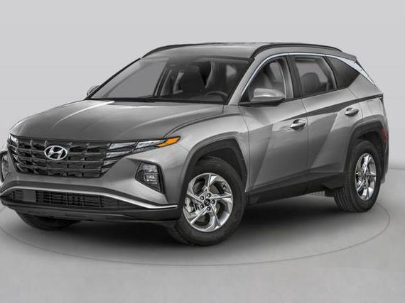 HYUNDAI TUCSON 2024 KM8JB3DE1RU280972 image