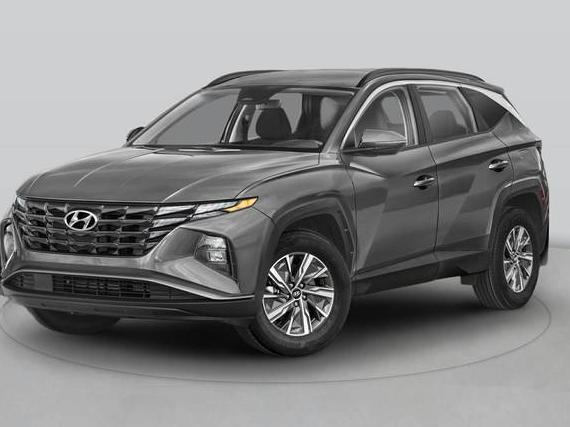 HYUNDAI TUCSON 2024 KM8JECD12RU165544 image
