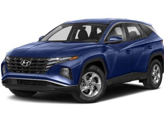 HYUNDAI TUCSON 2024 5NMJACDE1RH330977 image