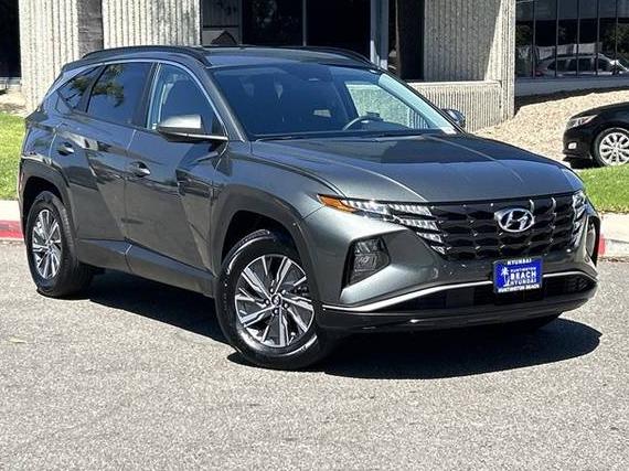 HYUNDAI TUCSON 2024 KM8JBCD11RU212894 image