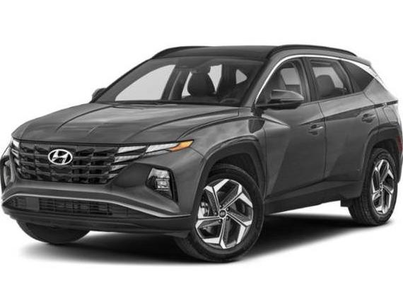 HYUNDAI TUCSON 2024 KM8JCCD15RU237164 image