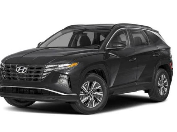 HYUNDAI TUCSON 2024 KM8JBCD13RU197072 image