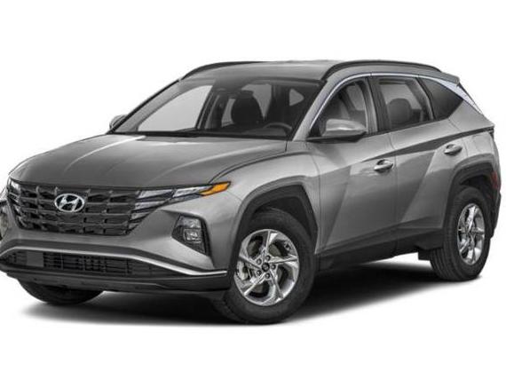 HYUNDAI TUCSON 2024 5NMJBCDE2RH351236 image