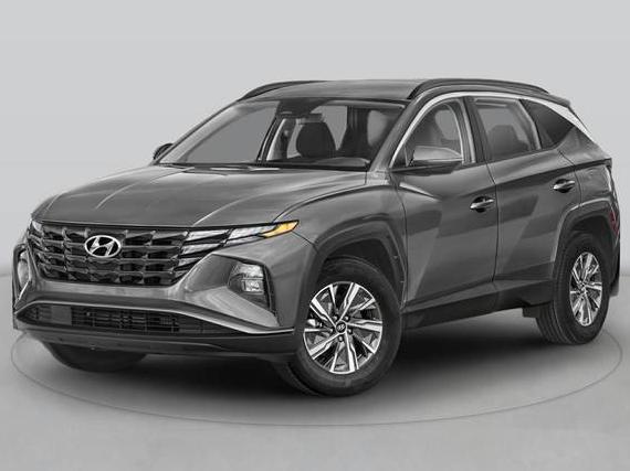 HYUNDAI TUCSON 2024 KM8JECD16RU217564 image