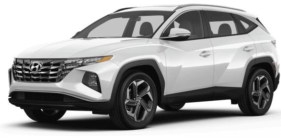 HYUNDAI TUCSON 2024 5NMJBCDE7RH361972 image