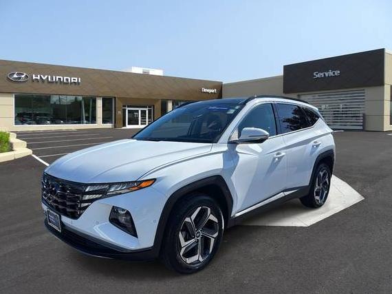 HYUNDAI TUCSON 2024 5NMJECDE8RH396723 image