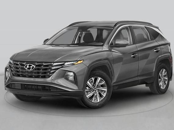 HYUNDAI TUCSON 2024 KM8JECD14RU160653 image