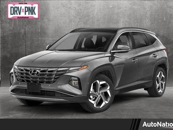 HYUNDAI TUCSON 2024 5NMJE3DE0RH317433 image