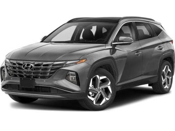HYUNDAI TUCSON 2024 5NMJE3DE6RH355409 image