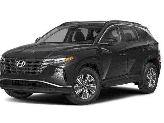 HYUNDAI TUCSON 2024 KM8JBCD16RU198684 image