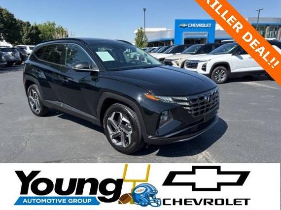 HYUNDAI TUCSON 2024 5NMJECDE0RH361853 image