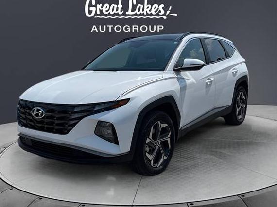 HYUNDAI TUCSON 2024 KM8JCCD10RU206470 image