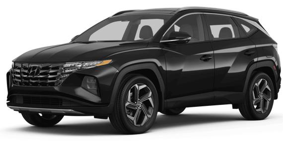 HYUNDAI TUCSON 2024 5NMJE3DE0RH386333 image