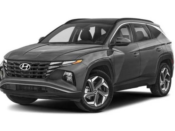 HYUNDAI TUCSON 2024 KM8JCCD17RU141102 image