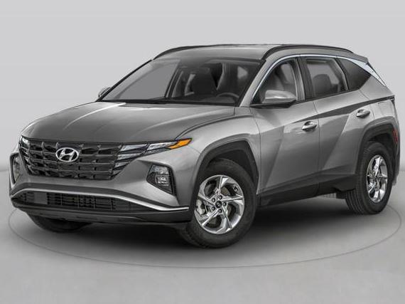 HYUNDAI TUCSON 2024 5NMJE3DE8RH294323 image