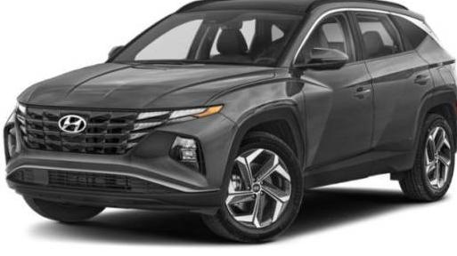 HYUNDAI TUCSON 2024 KM8JCCD18RU230239 image
