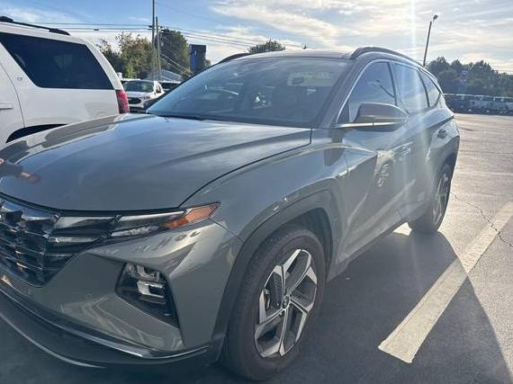 HYUNDAI TUCSON 2024 5NMJECDE1RH301371 image HYUNDAI TUCSON 2024 5NMJECDE1RH301371 image