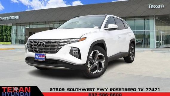 HYUNDAI TUCSON 2024 5NMJE3DE5RH312728 image