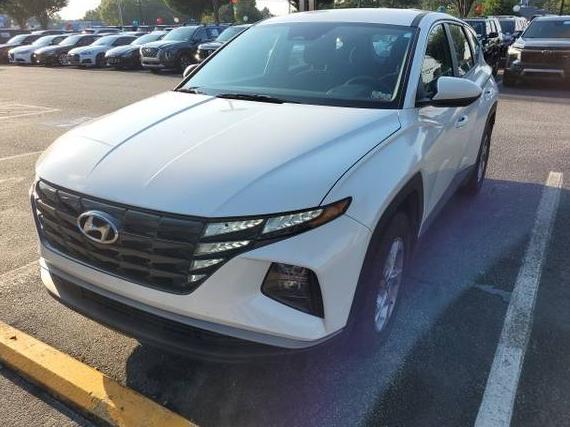 HYUNDAI TUCSON 2024 5NMJA3DE8RH340535 image