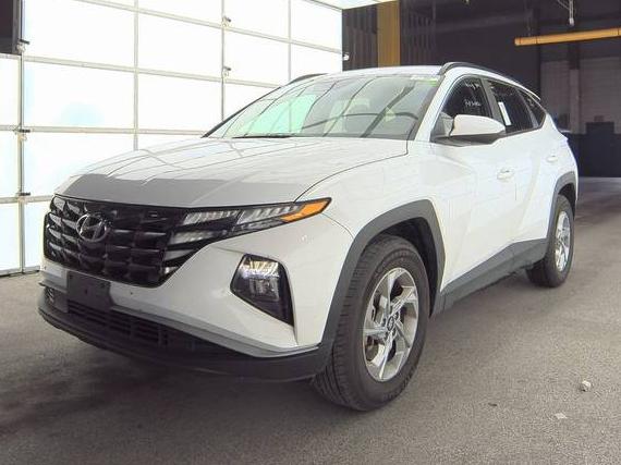 HYUNDAI TUCSON 2024 5NMJBCDE7RH329829 image