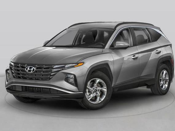 HYUNDAI TUCSON 2024 5NMJF3DE1RH333332 image