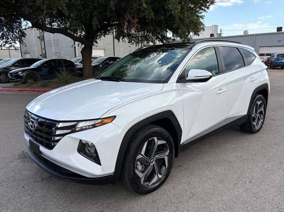 HYUNDAI TUCSON 2024 KM8JCCD19RU221467 image