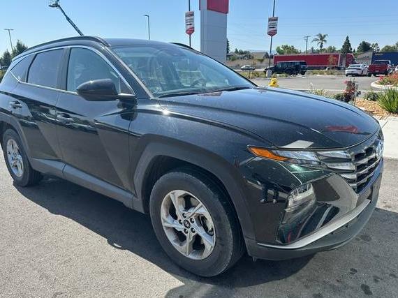 HYUNDAI TUCSON 2024 5NMJBCDEXRH381391 image