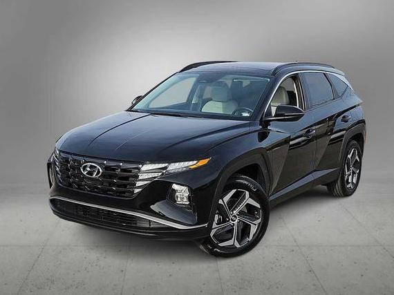 HYUNDAI TUCSON 2024 KM8JCCD16RU214914 image