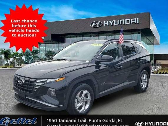 HYUNDAI TUCSON 2024 5NMJBCDE0RH348125 image
