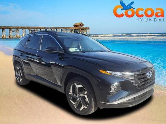HYUNDAI TUCSON 2024 KM8JCCD16RU225251 image