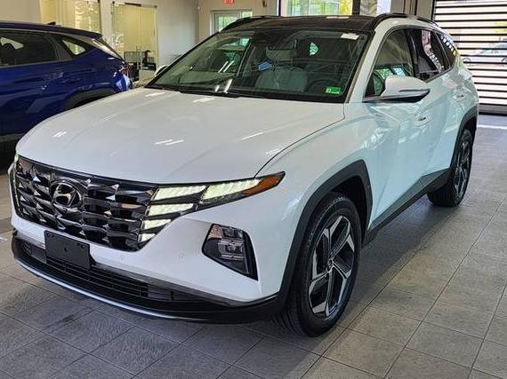 HYUNDAI TUCSON 2024 KM8JECD17RU189337 image