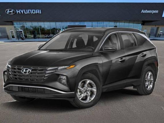 HYUNDAI TUCSON 2024 5NMJFCDE1RH416503 image