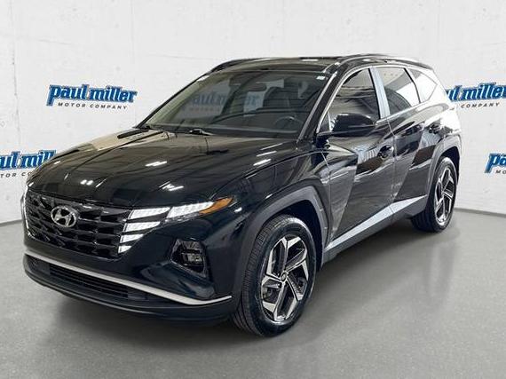 HYUNDAI TUCSON 2024 KM8JCCD19RU150772 image