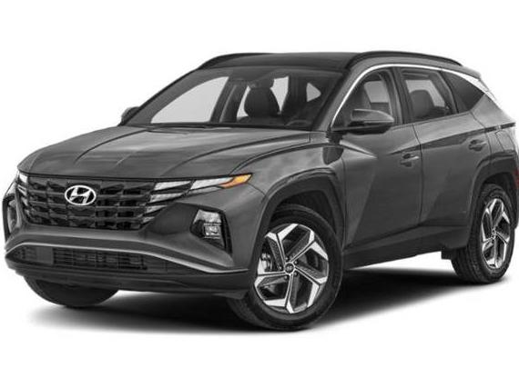 HYUNDAI TUCSON 2024 KM8JCCD14RU206312 image