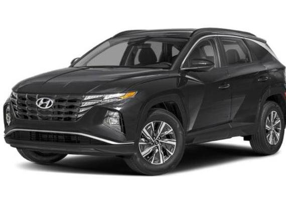 HYUNDAI TUCSON 2024 KM8JBCD1XRU208696 image