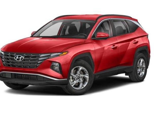 HYUNDAI TUCSON 2024 5NMJBCDE1RH419493 image