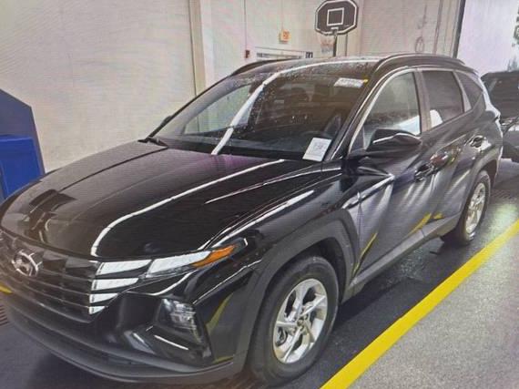 HYUNDAI TUCSON 2024 5NMJB3DE2RH329785 image