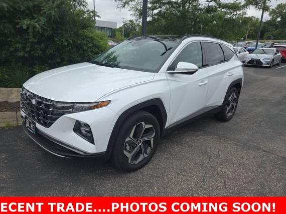 HYUNDAI TUCSON 2024 KM8JECD14RU243225 image