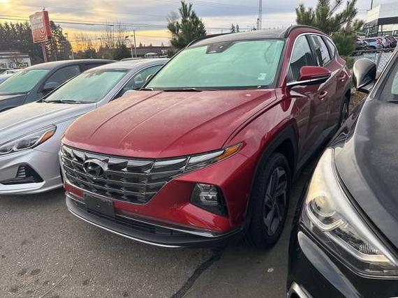 HYUNDAI TUCSON 2024 5NMJECDE0RH434901 image HYUNDAI TUCSON 2024 5NMJECDE0RH434901 image