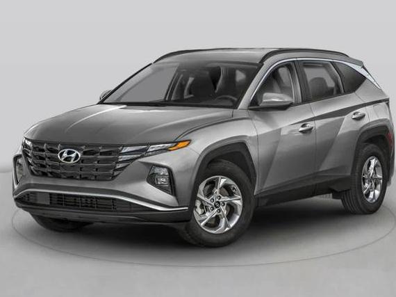 HYUNDAI TUCSON 2024 5NMJE3DE8RH346842 image