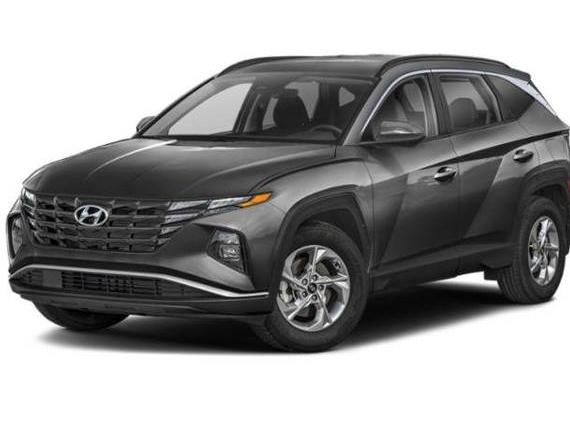 HYUNDAI TUCSON 2024 5NMJBCDE5RH332065 image